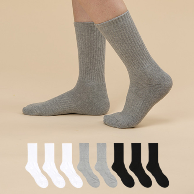 GGRN 여성용 스탠다드 우먼 파일 쿠션 크루 삭스 8켤레 세트