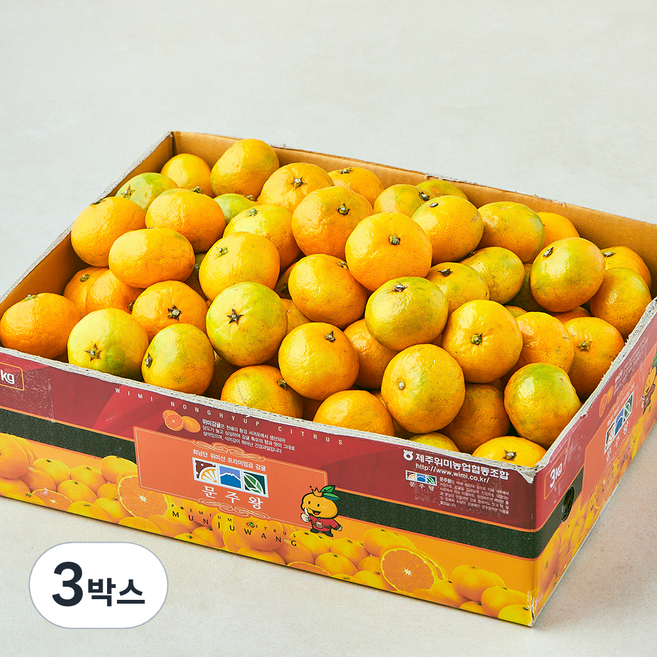 문주왕 당도선별 10brix 감귤 꼬마과, 3박스, 3kg