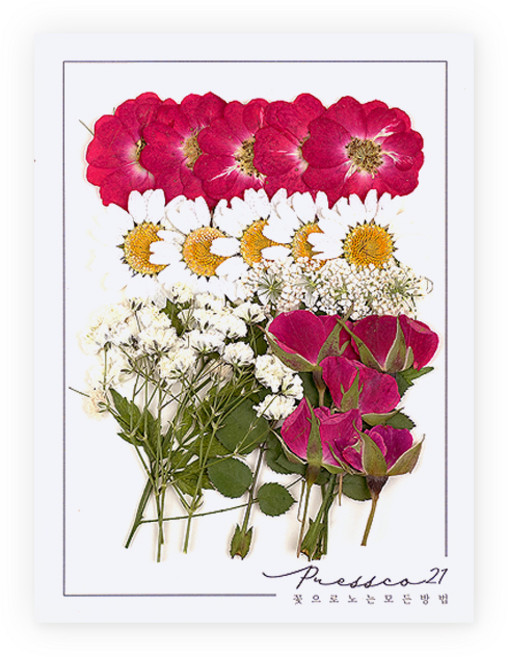 프레스코21 압화 종합팩, K110, 1개