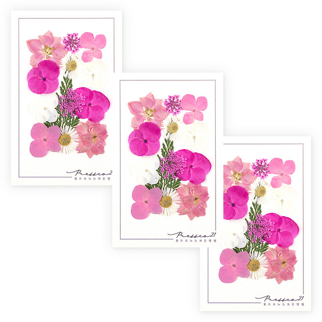 프레스코21 압화 종합팩, K122, 3개