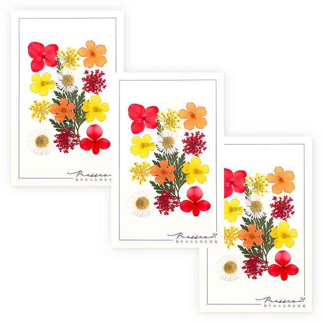 프레스코21 압화 종합팩, K123, 3개