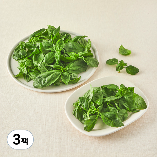 친환경 바질, 100g, 3팩