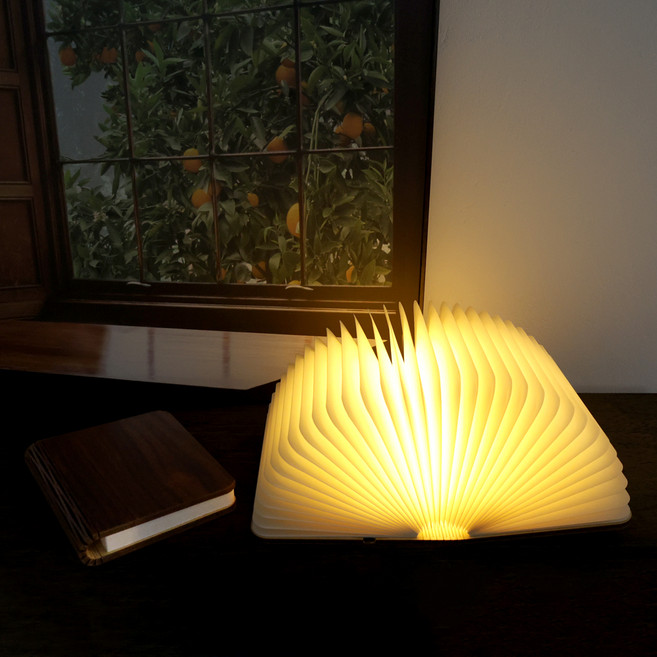 연하 무선 LED 책 무드등 대, 레드