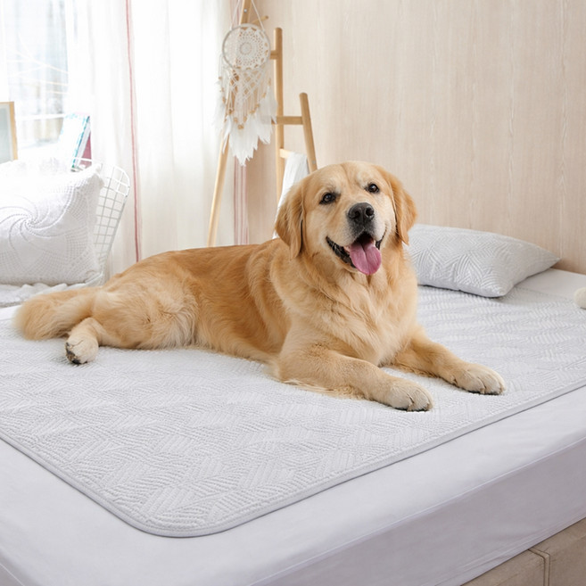 크리벨 반려동물 아추어 듀라론 냉감 쿨매트, 화이트, 1개