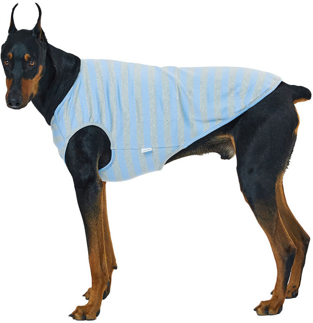 럭키페터 강아지 베이직 스트라이프 민소매, 블루 + 그레이, 1개