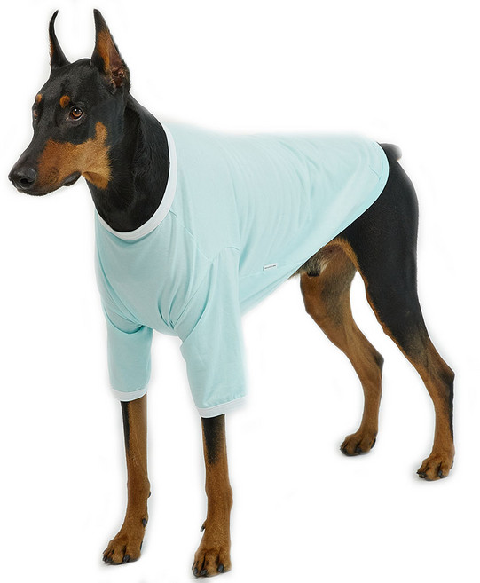 럭키페터 강아지 컬러링거 티셔츠, 민트 + 화이트, 1개