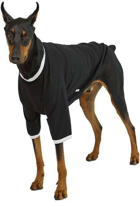 럭키페터 강아지 컬러링거 티셔츠, 블랙 + 화이트, 1개