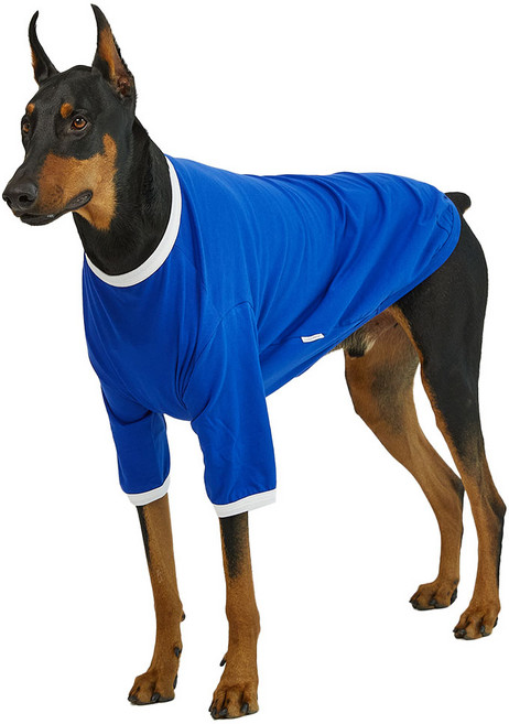 럭키페터 강아지 컬러링거 티셔츠, 블루 + 화이트, 1개