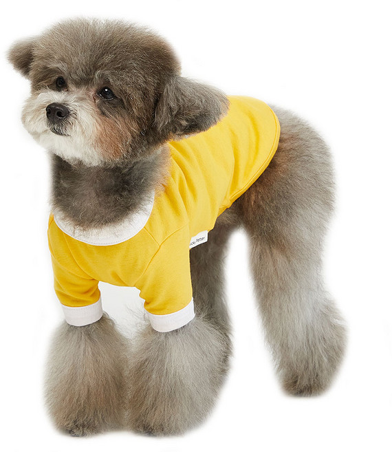 럭키페터 강아지 컬러링거 티셔츠, 옐로우 + 화이트, 1개