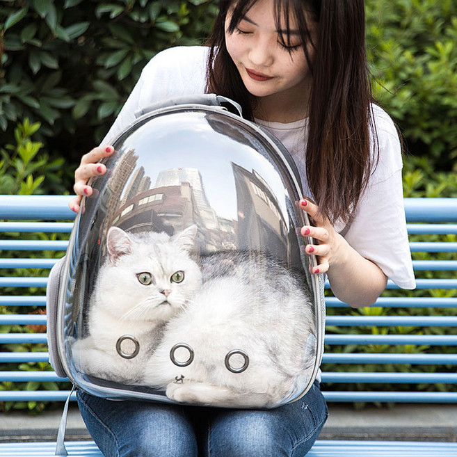 딩동펫 반려동물 투명우주선 백팩, 그레이, 1개