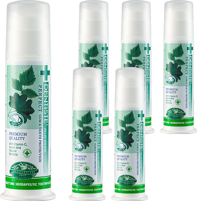 덴티스테 플러스화이트 펌프형 치약, 120g, 6개