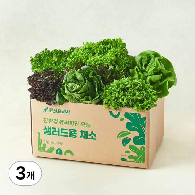 친환경 유러피안 모둠 샐러드용 채소, 1kg, 3개