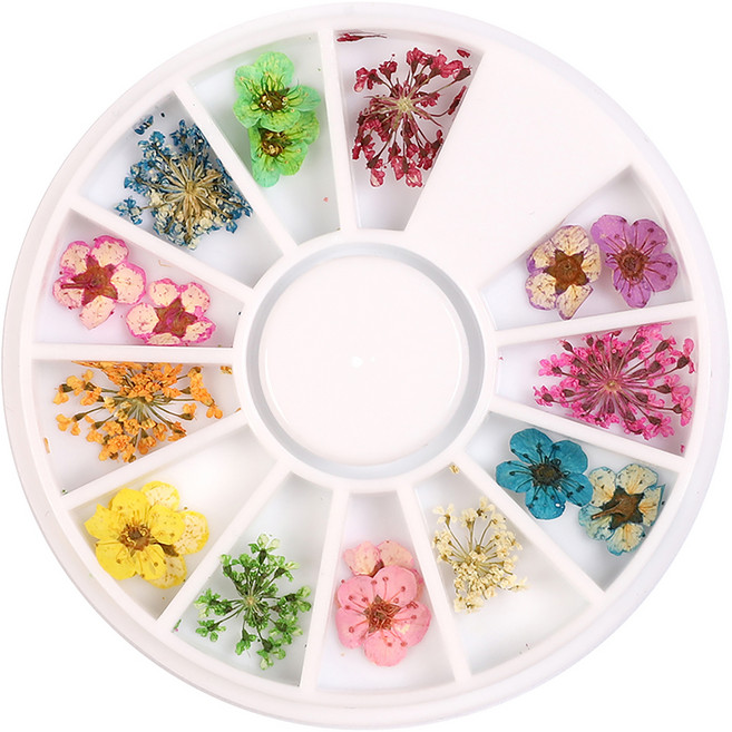 MEIBROWN 美甲裝飾乾燥花套裝, 混合顏色, 1盒
