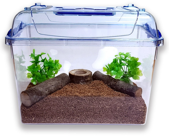 사필풍 사슴벌레 클린 사육 세트, 혼합색상, 1세트