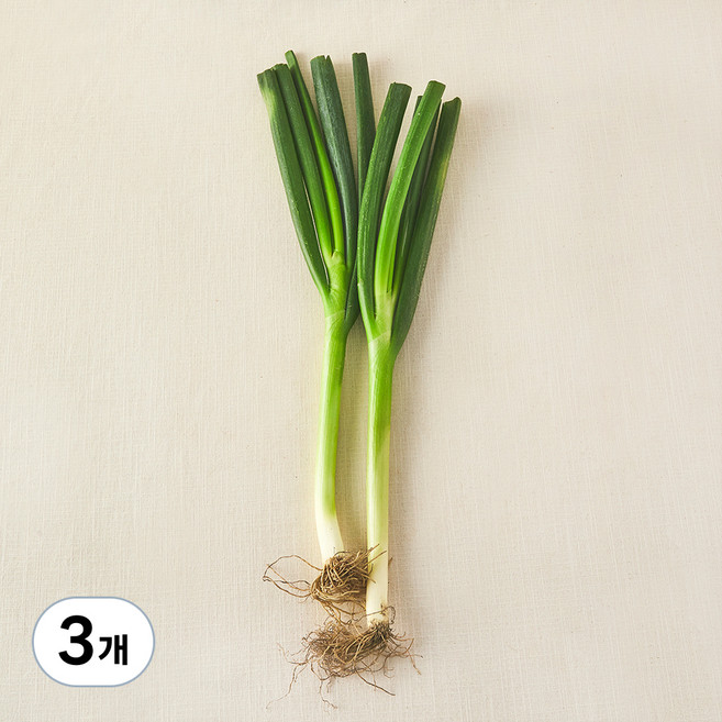 국내산 무농약 대파, 300g, 3개