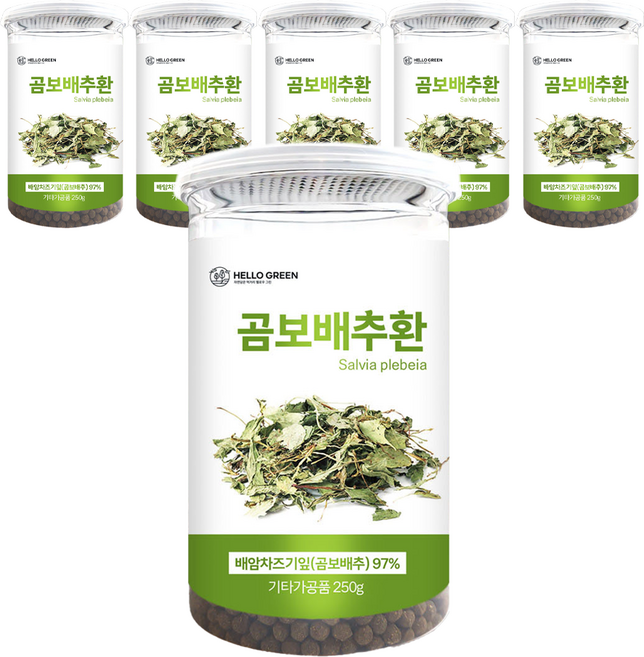 헬로우그린 곰보배추환 통, 6개, 250g