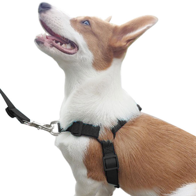 펫스츄리 중대형견용 이지워크 하네스, 검정, 1개