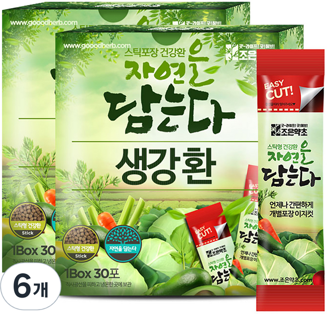 조은약초 생강환 스틱, 90g, 6개