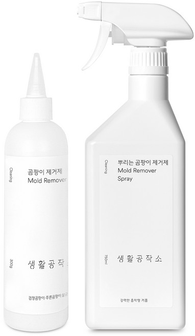 생활공작소 뿌리는 곰팡이 제거제 750ml + 겔 곰팡이 제거제 300ml, 1세트