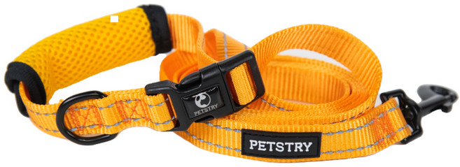 펫스츄리 강아지 핸즈프리 베이직 리드줄, ORANGE, 1개