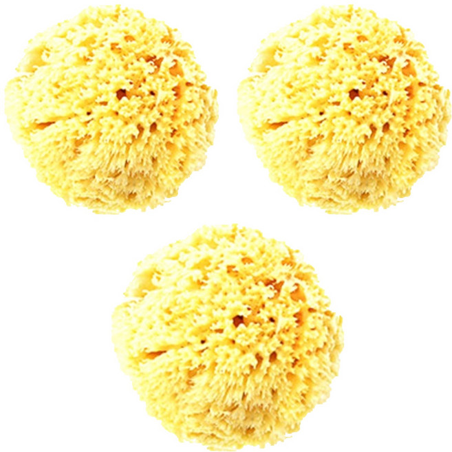 라그랑 해면 XL + 건조 집게, 3세트