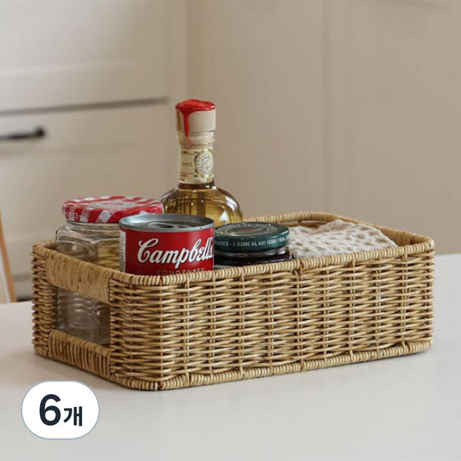 네이쳐리빙 데이지가든 내츄럴 라탄바구니, 6개