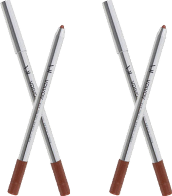 비디보브 아이온 젤 펜슬 라이너 0.5g, BB801 프렌치브라운(펄), 2개