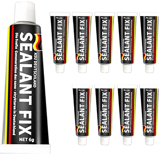 월드크린 실란트 픽스 6g, 10개