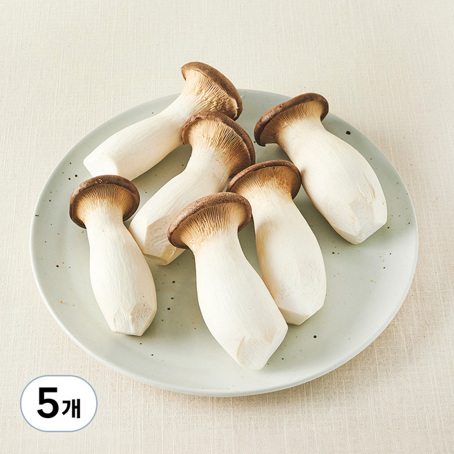 친환경 뿌리가 손질된 새송이버섯, 600g, 5개