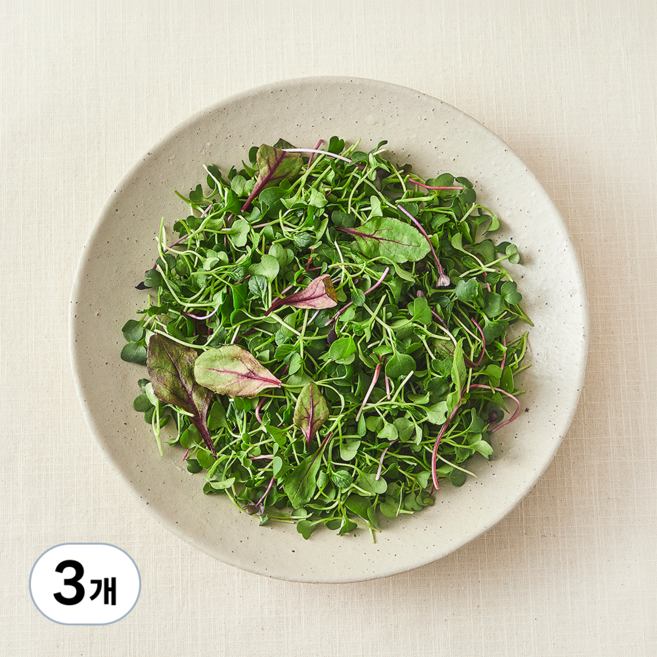 친환경 어린잎 채소, 500g, 3개
