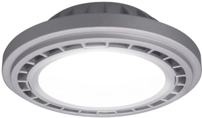 DANCELIGHT 舞光 14W AR111廣角基礎光源模組 質感銀款 D-ARFL14NR5, 自然光, 1個