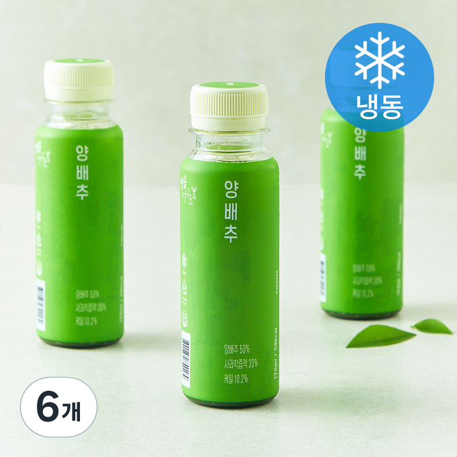 생즙연구소 양배추 (냉동), 6개, 120ml