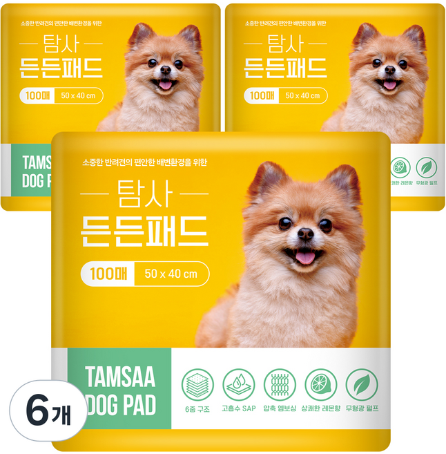탐사 고흡수 든든패드 레몬향, 100개입, 6개