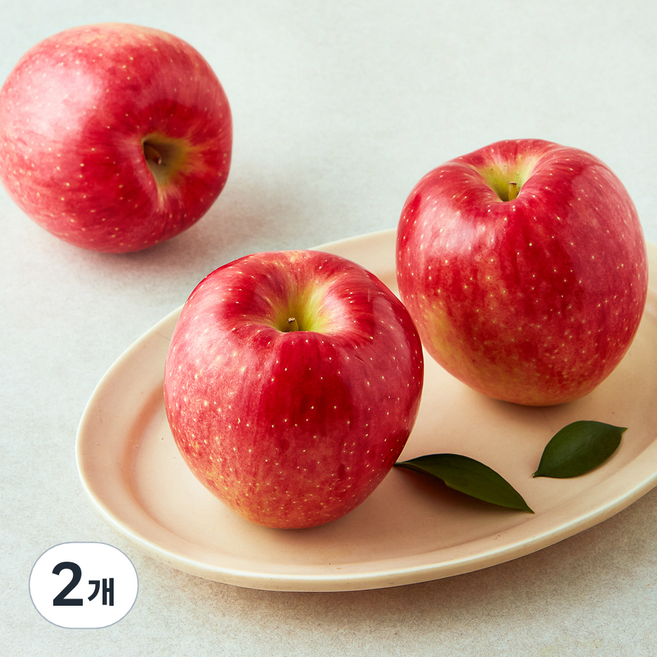 셀렉트팜 A 제수용 사과, 1kg(대과, 3입), 2개