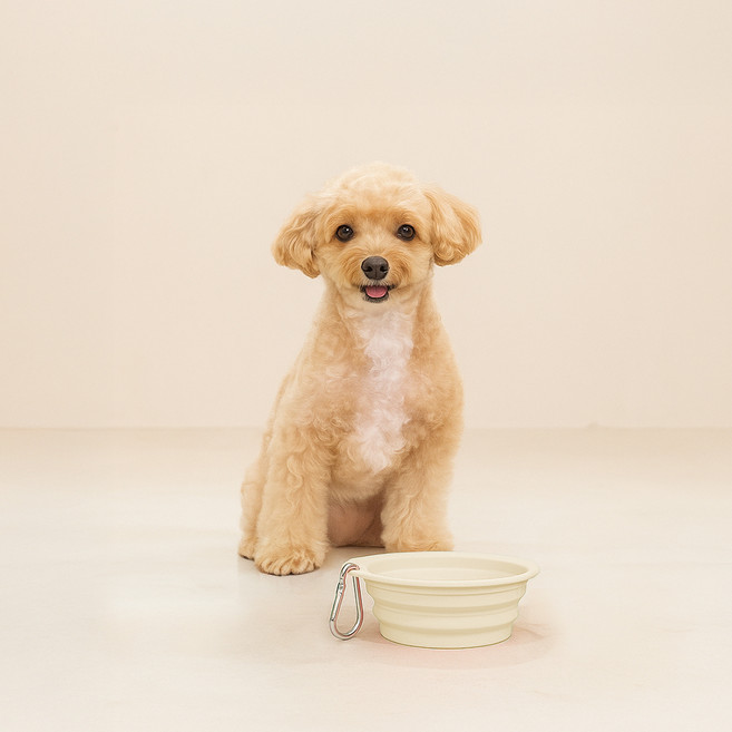 레토 반려동물 휴대용 접이식 실리콘 식기, 아이보리, 1개