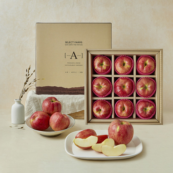 셀렉트팜 A 사과 선물세트 9입, 2.5kg, 1박스