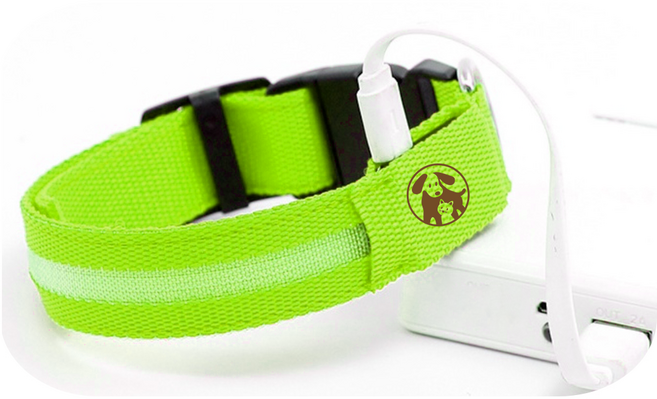 멍멍군나비양 강아지 USB 충전식 LED 야광목줄, 그린, 1개