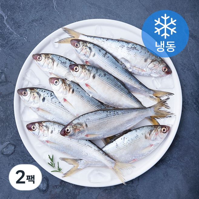 아라보감 갓 잡아 얼린 국내산 전어 (냉동), 500g, 2팩