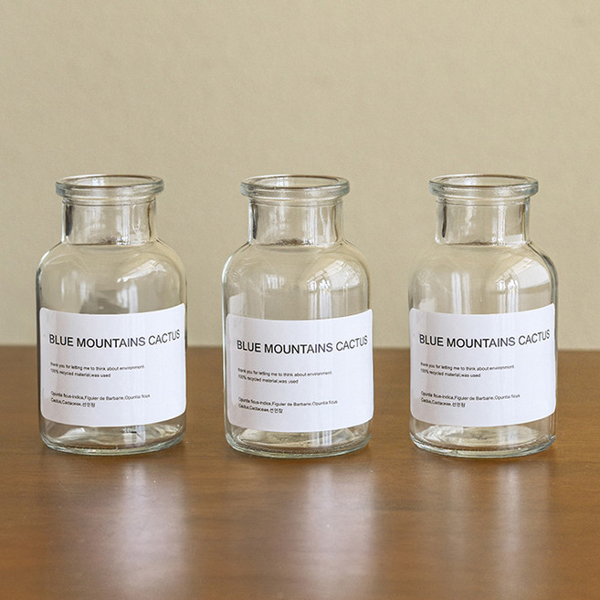 앙플랜트 화병 디퓨저 공용 시약병 125ml 3p, 투명