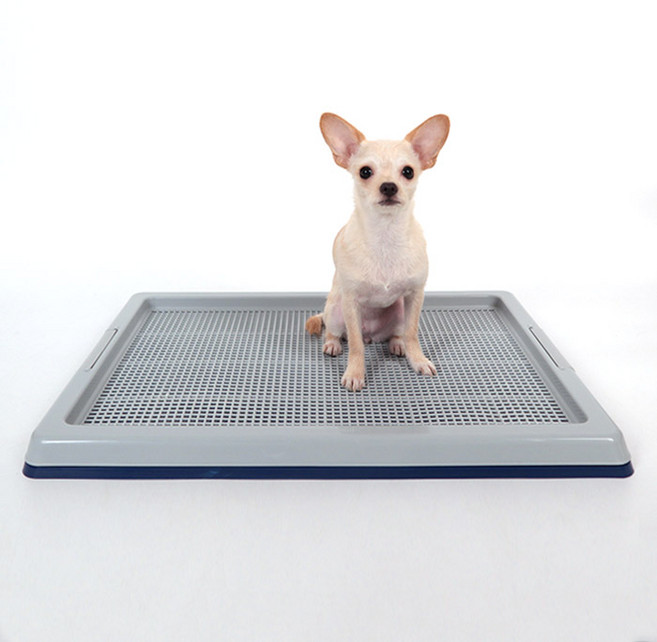 딩동펫 반려동물 와이드 배변판, 네이비, 1개