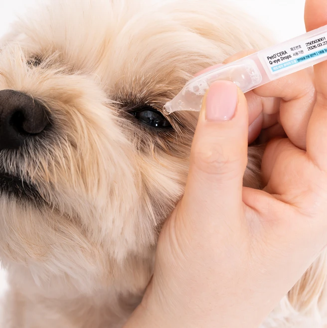 페토세라 큐아이 드롭 반려동물 인공눈물 눈세정제, 1ml, 30개 - 쿠팡