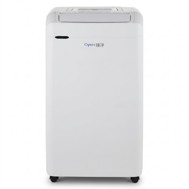 Opure 臻淨 負離子清淨除濕機 21L, DH1