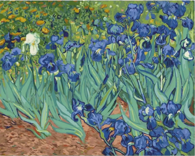 ArtLife 藝術生活 數字油畫DIY DTR100 50 x 65cm, 梵谷 鳶尾花, 1個