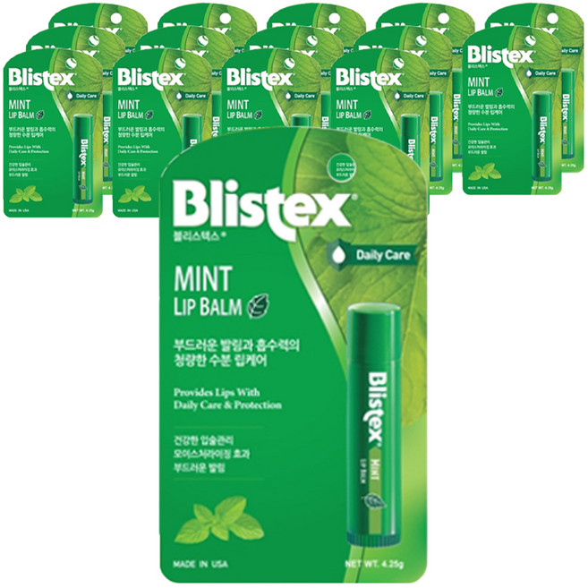 블리스텍스 립밤 스틱형, 민트향, 4.25g, 15개