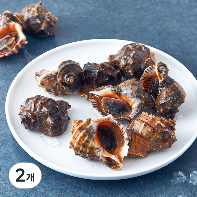 바다림 서해안 산지직송 생물 참소라 8~12미, 1kg, 2개