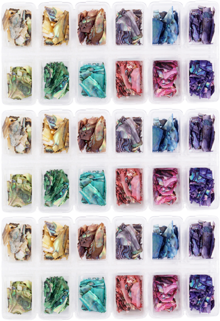 네일트렌드 고급형 판자개 조각 12종 세트 4, 혼합색상, 3개