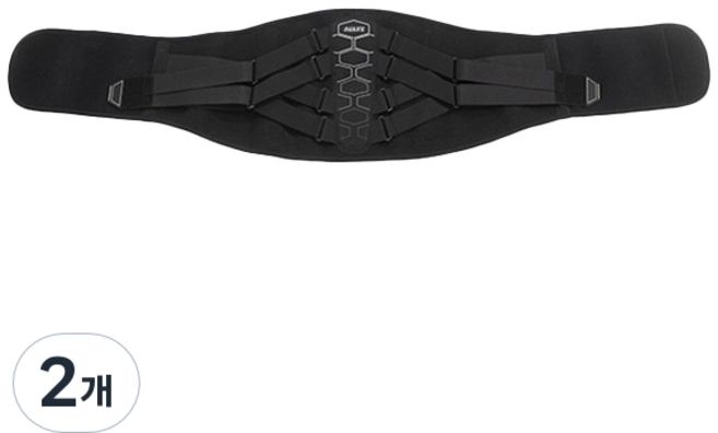 메디칼코어 이중 고정 탄력 허리보호대 WB-117, 2개