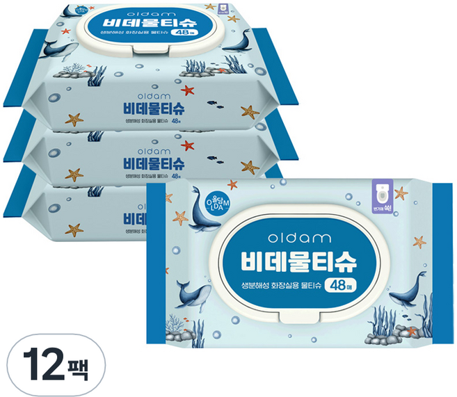 올담 고래 에디션 비데물티슈 캡형, 12개, 48매, 177g