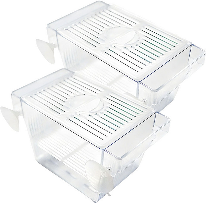 아마존 미니 부화통, 2개