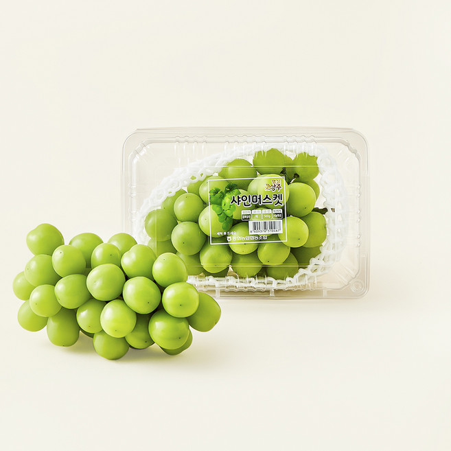 중화농협 상주 고당도 샤인머스캣, 500g, 1개